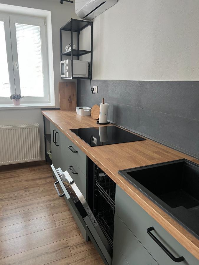 Elegantny Byt V Srdci Mesta Trenčín Buitenkant foto